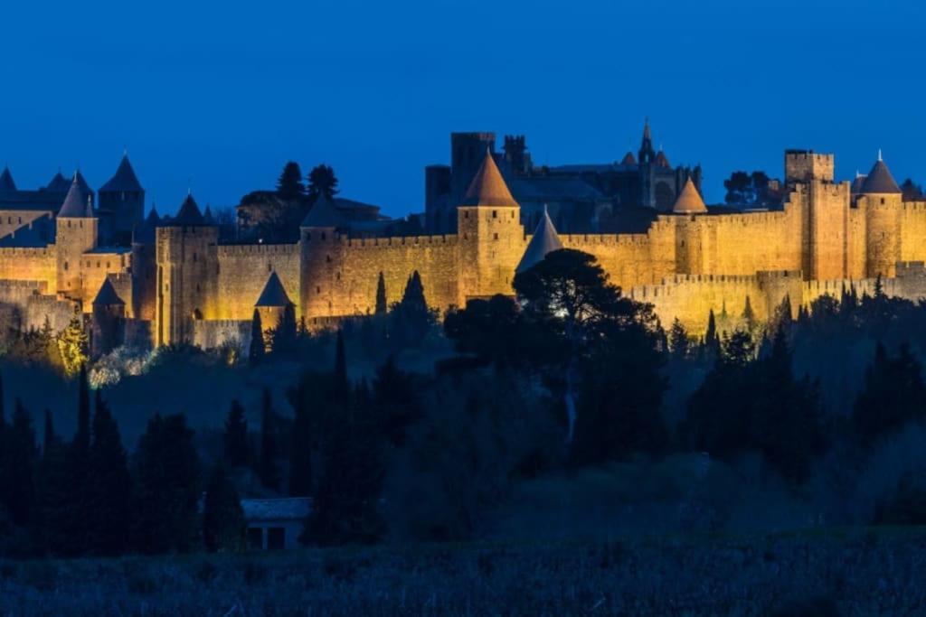 Ferienwohnung Le Panoramique - Sublime Vue Sur La Cite Carcassonne Exterior foto